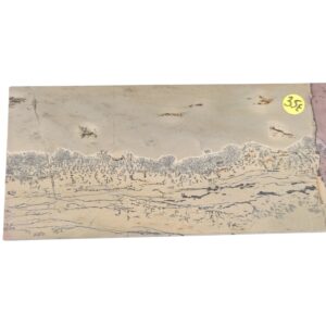 PLAQUE CALCAIRE PAYSAGE